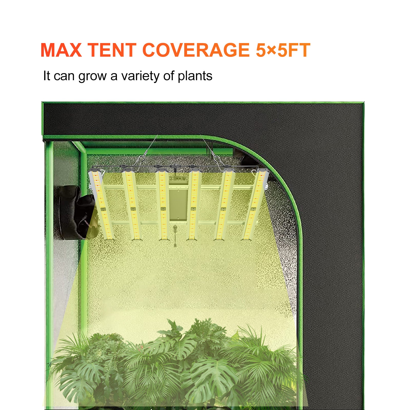 CTLite QS-BAR6-320watt 5x5ft 2.8umol/J LED Grow Light Vertical Farming with 3 Years warranty For Indoor Plants