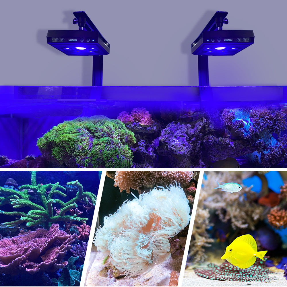 CTLite LED Aquarium Light 60 Watt G3 AquaMars Full Spectrum 3 Channels Group control for reef Corals