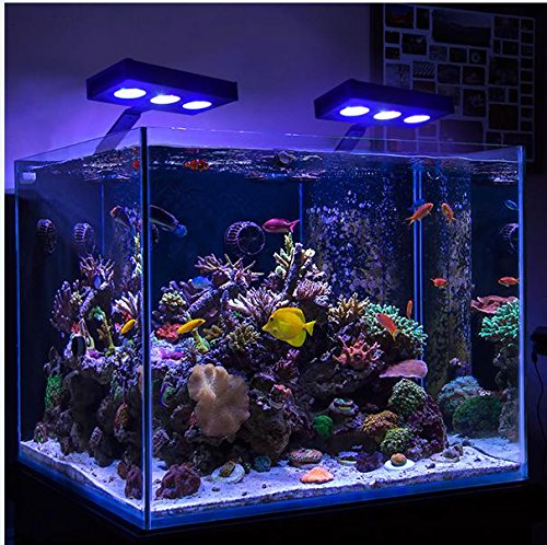 CTlite 30W LED Aquarium Light:2 channels for nano tank